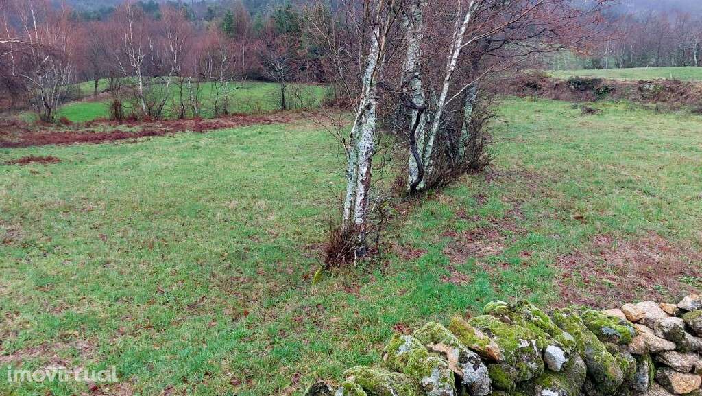 Terreno Rústico - Agra, Rossas - Grande imagem: 2/7