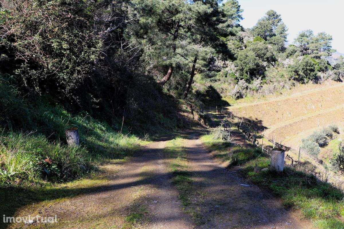 Quinta  para venda - Grande imagem: 2/50