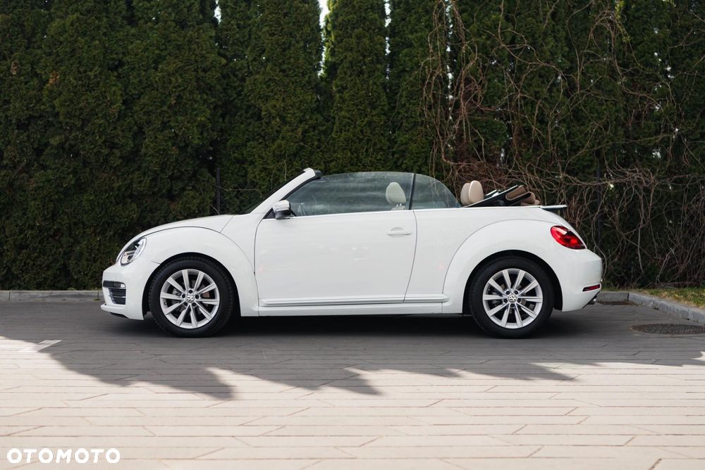 Volkswagen Beetle - 7