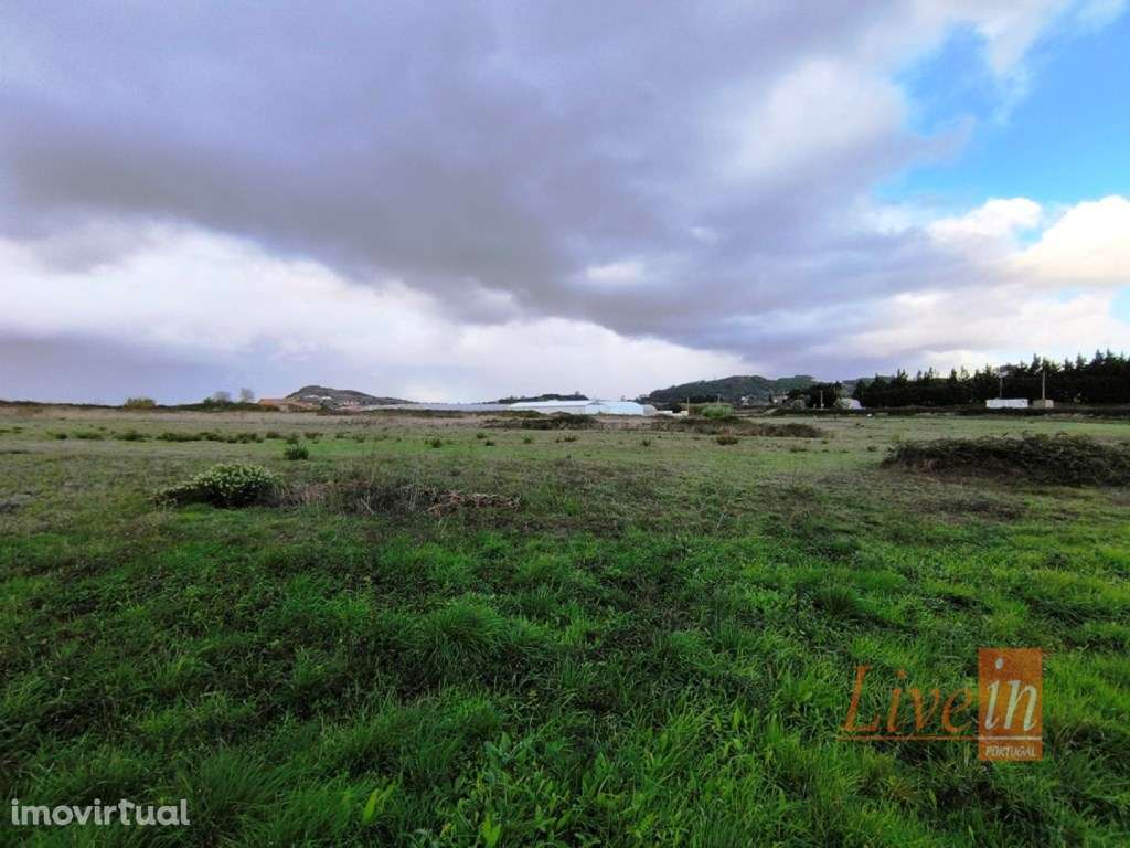 Terreno Rústico com 5 Ha com Ruína em Salemas, Lousa, Loures - Grande imagem: 3/16
