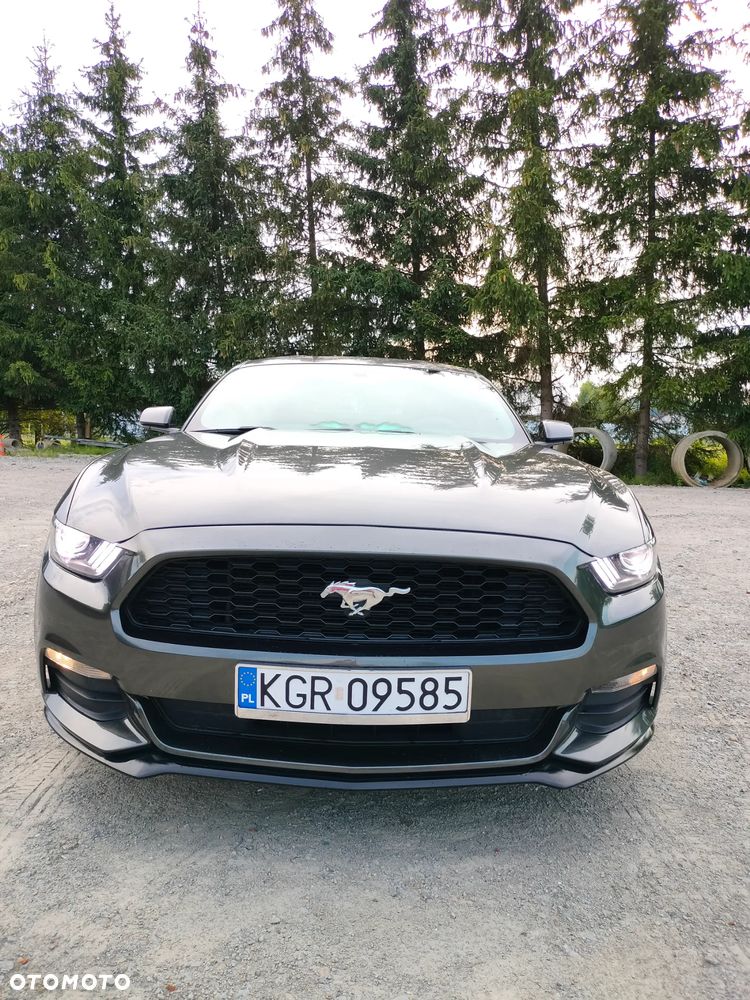 Ford Mustang 3.7 V6 - 1
