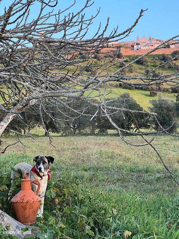 Terreno  para venda - Grande imagem: 3/7