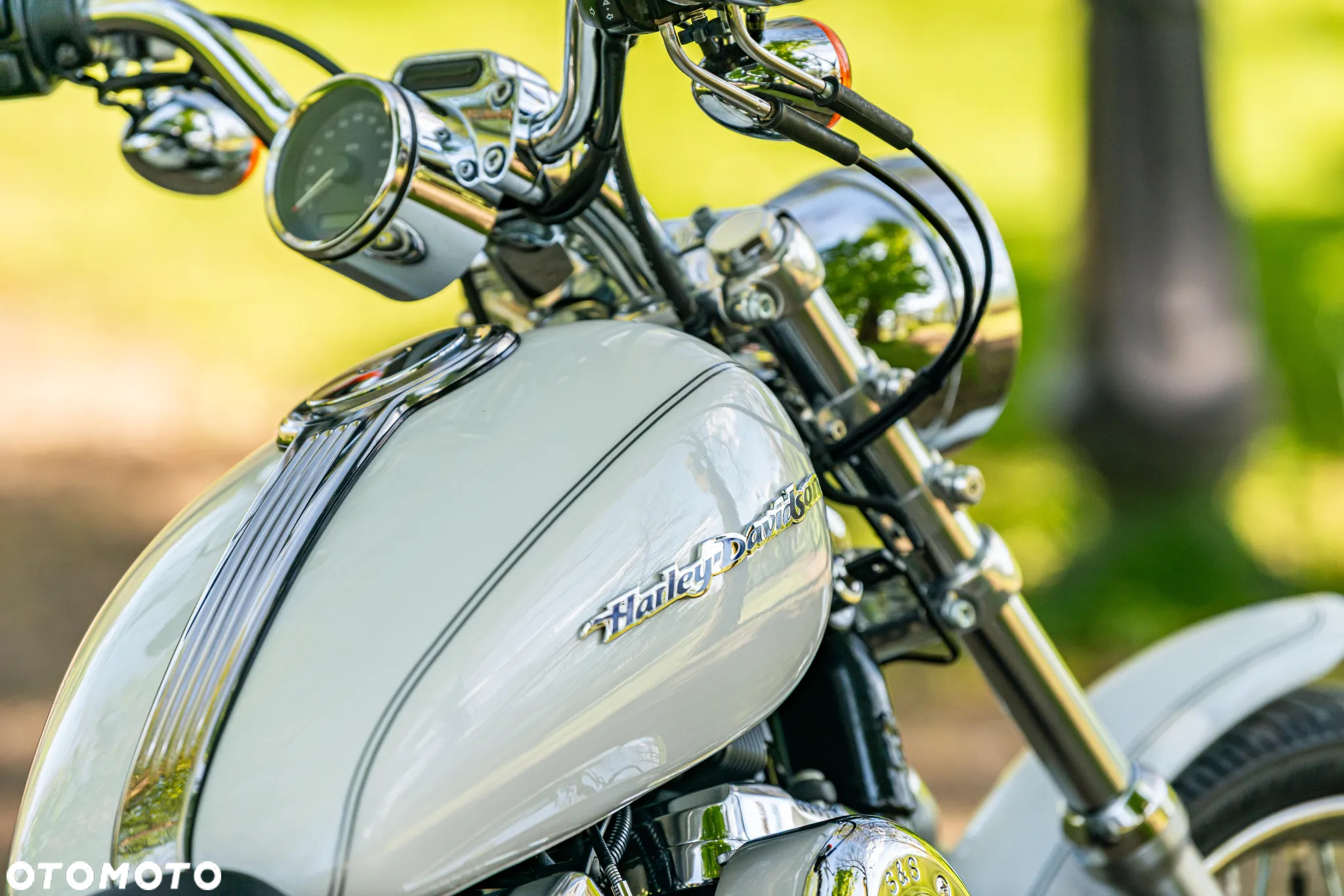 Harley-Davidson Inny - 13