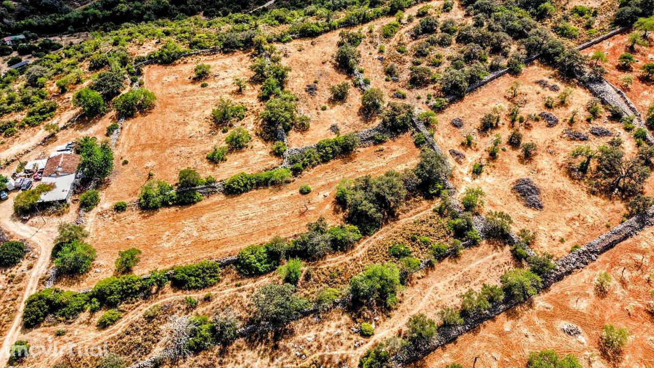 Oportunidade Única: 2 Terrenos Rústicos Próximos de São Brás de Alport - Grande imagem: 3/46