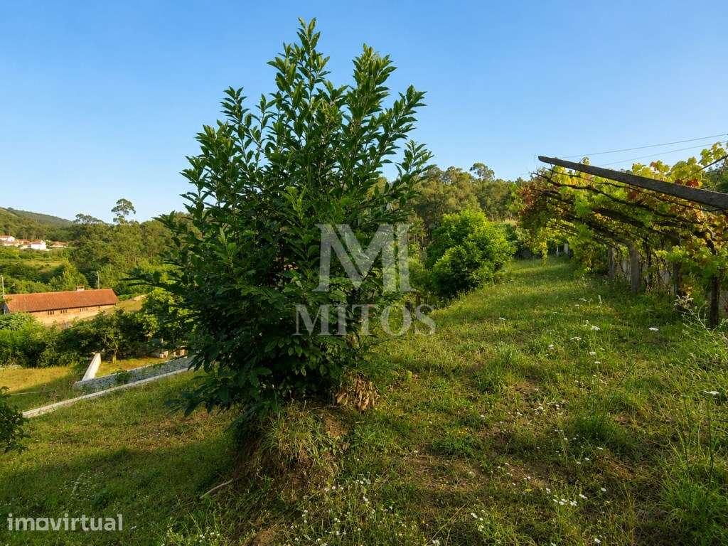 Terreno em zona de construção com 1.150 m² em Subportela - Viana do... - Grande imagem: 4/16