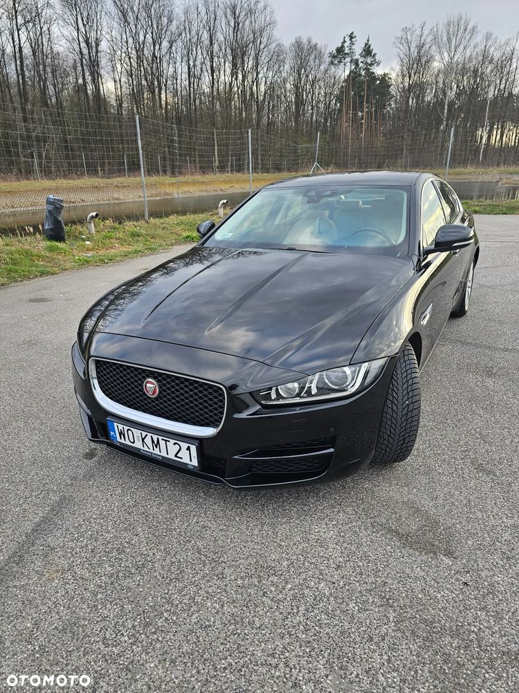 Jaguar XE - 11