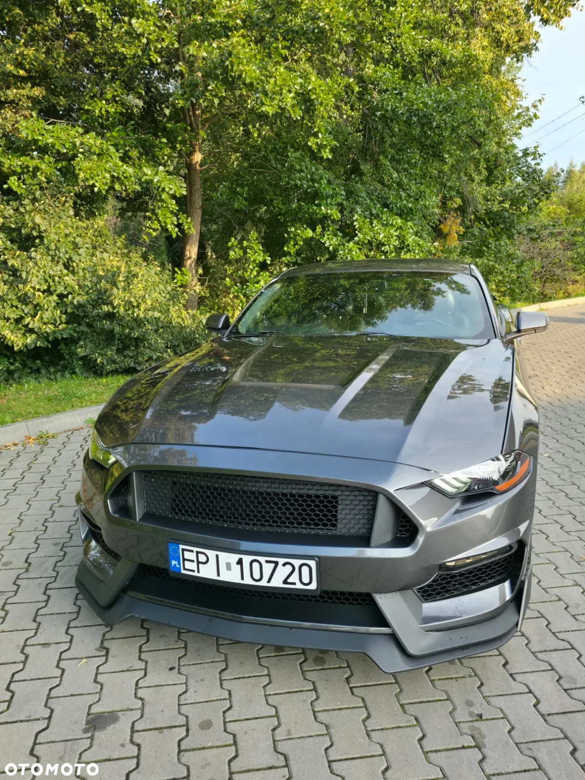 Ford Mustang 5.0 V8 GT - 3