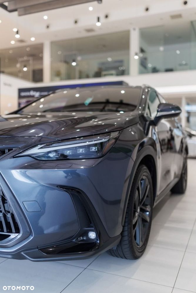 Lexus NX - 18
