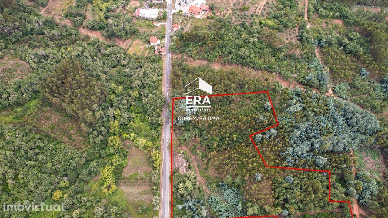 Terreno Rústico localizado em Maçãs de D. Maria - Grande imagem: 2/24