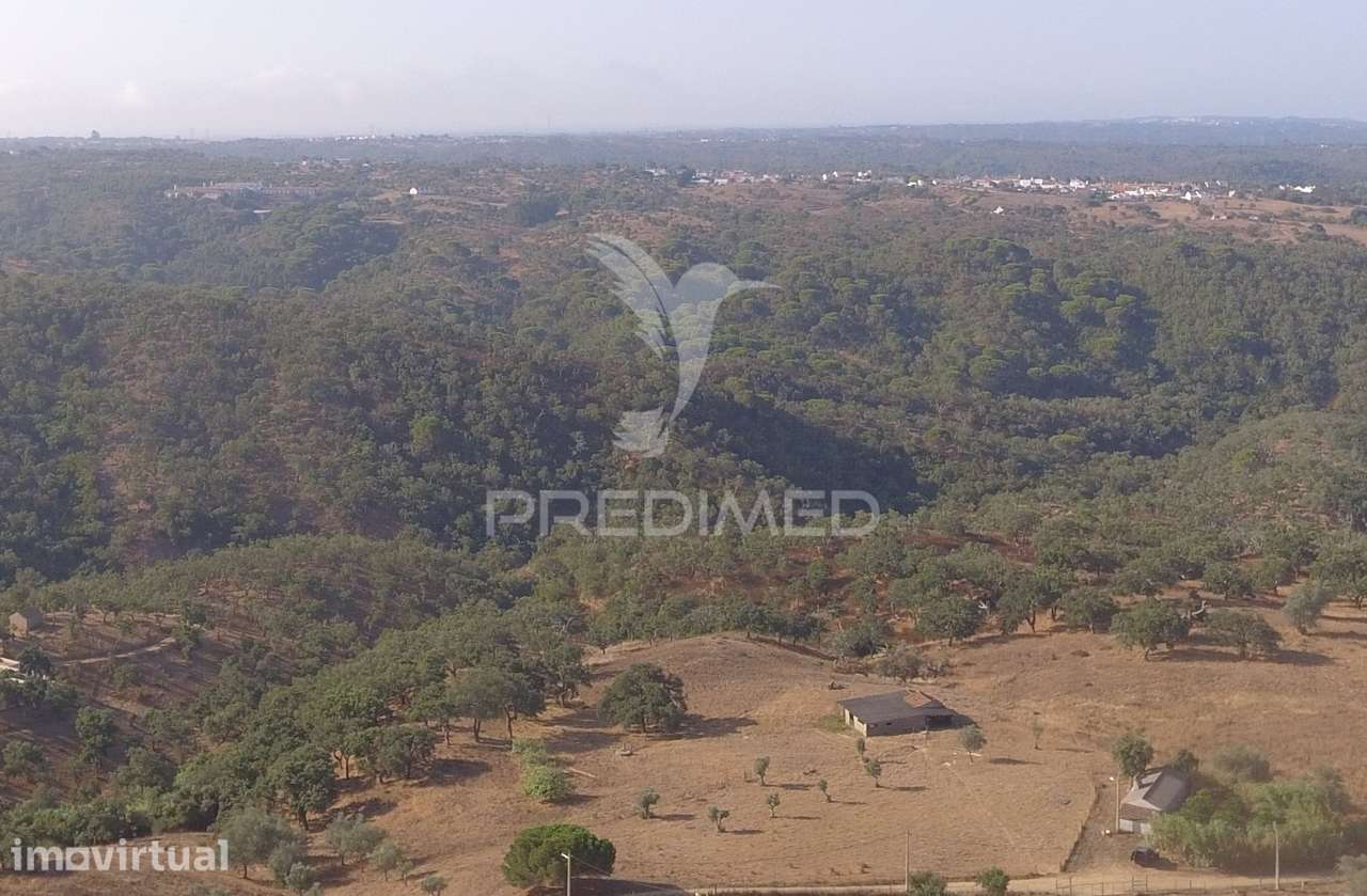 Terreno de 3,5 hectares com ruina a poucos minutos de Melides - Grande imagem: 3/11