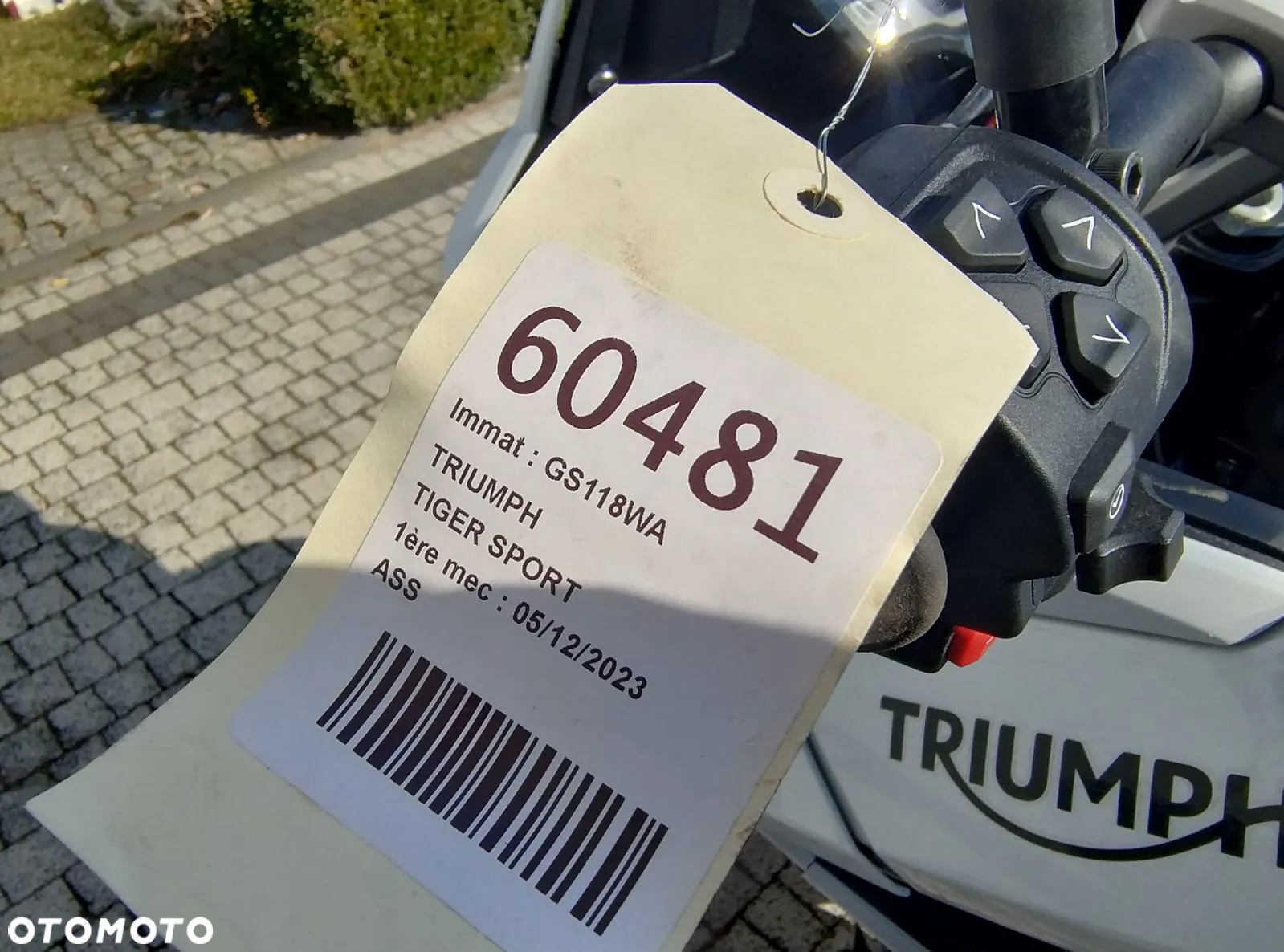 Triumph Tiger - 22