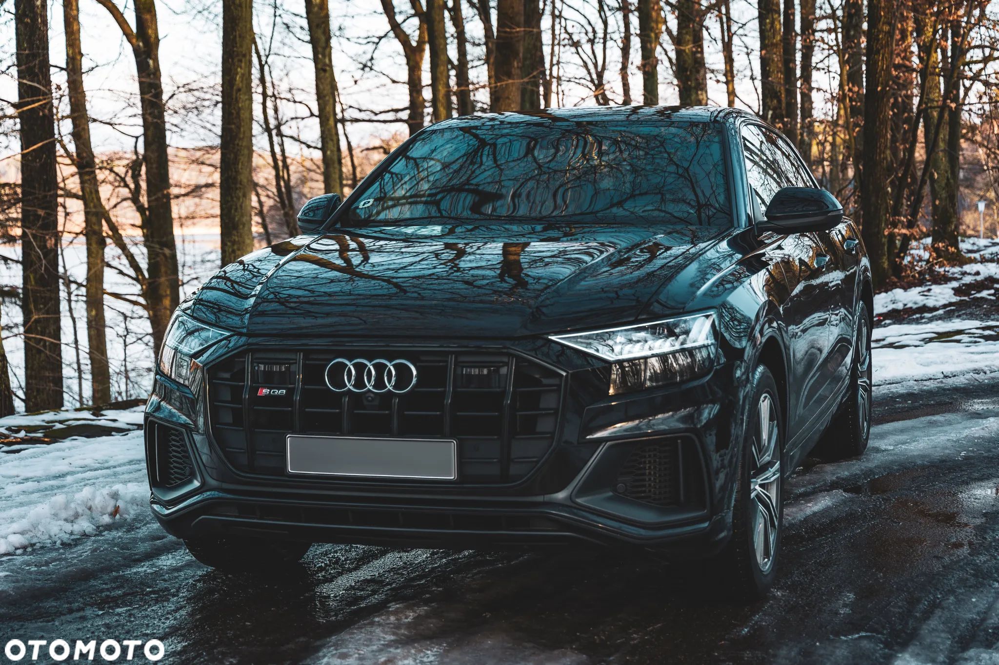 Audi SQ8 - 1