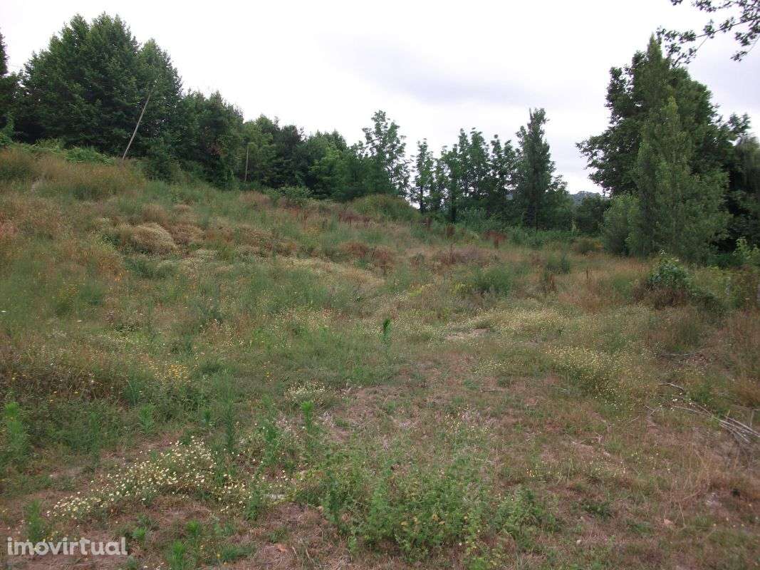 Excelente Terreno Industrial - Grande imagem: 4/4