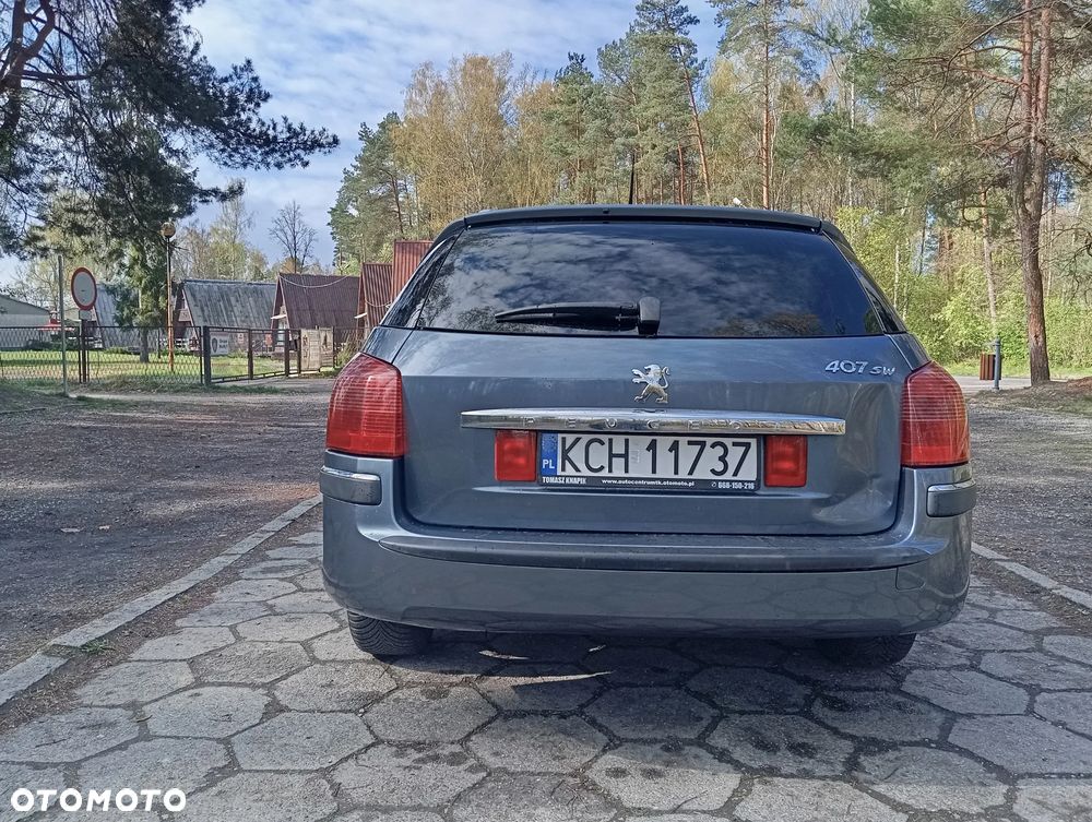 Peugeot 407 - 6