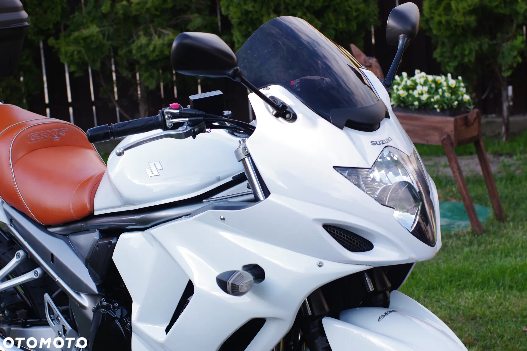 Suzuki GSX - 13