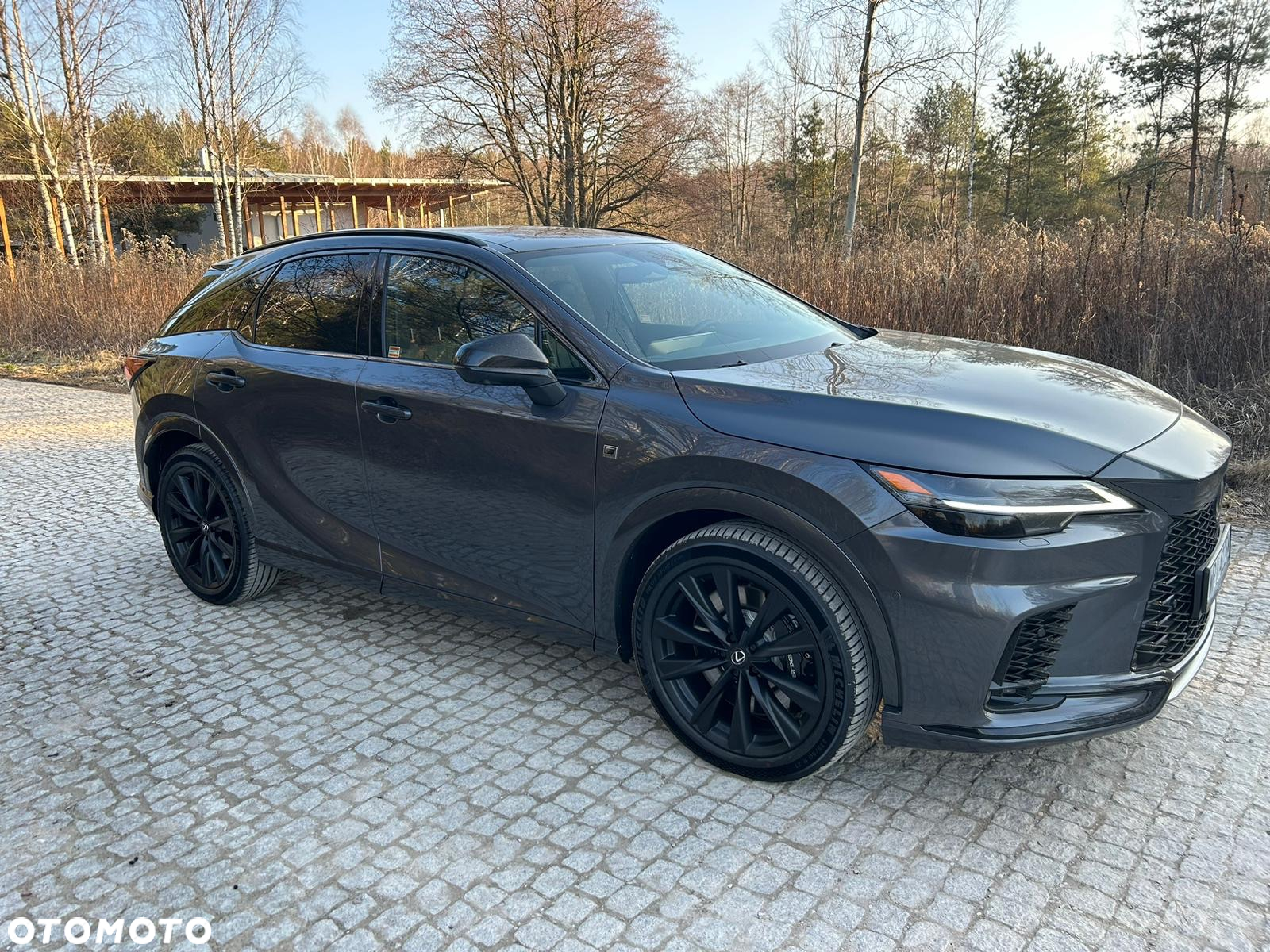Lexus RX 500h F Sport - 5