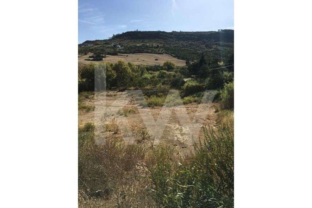 Terreno em Arruda dos Vinhos - Grande imagem: 4/6