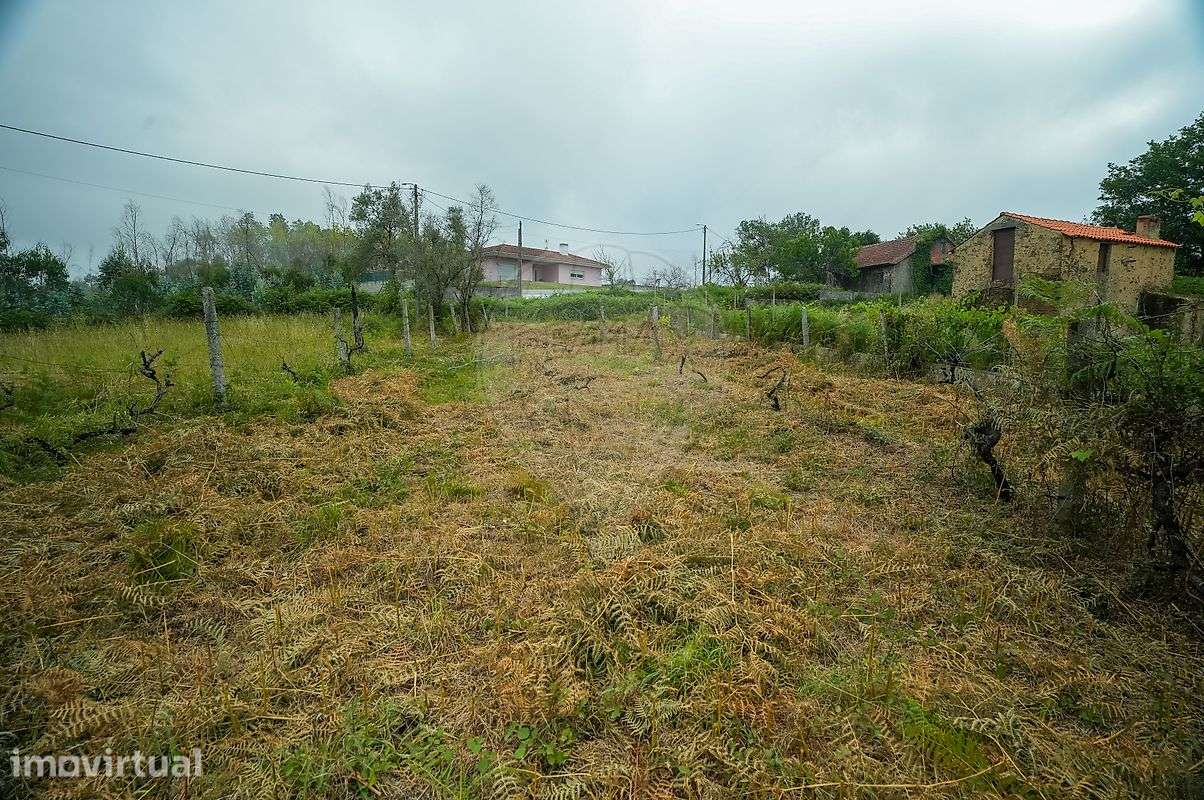 Terreno  para venda - Grande imagem: 3/14