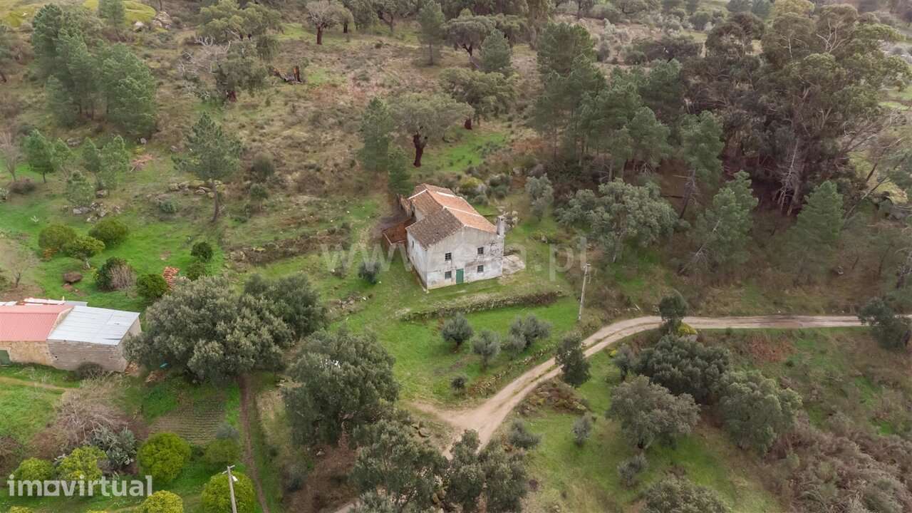 Quintinha T1 / Fundão, Vale Prazeres - Grande imagem: 4/20