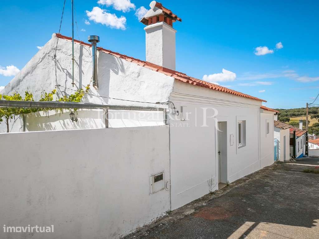 Quintinha com 1,2 hectares e Casa Rústica T2 em Pisão, Crato - Grande imagem: 2/30