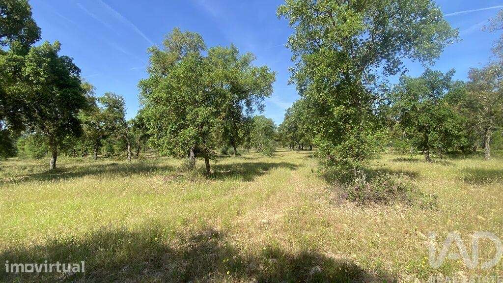 Terreno T2 em São Facundo e Vale das Mós de 568000,00 m2 - Grande imagem: 4/6
