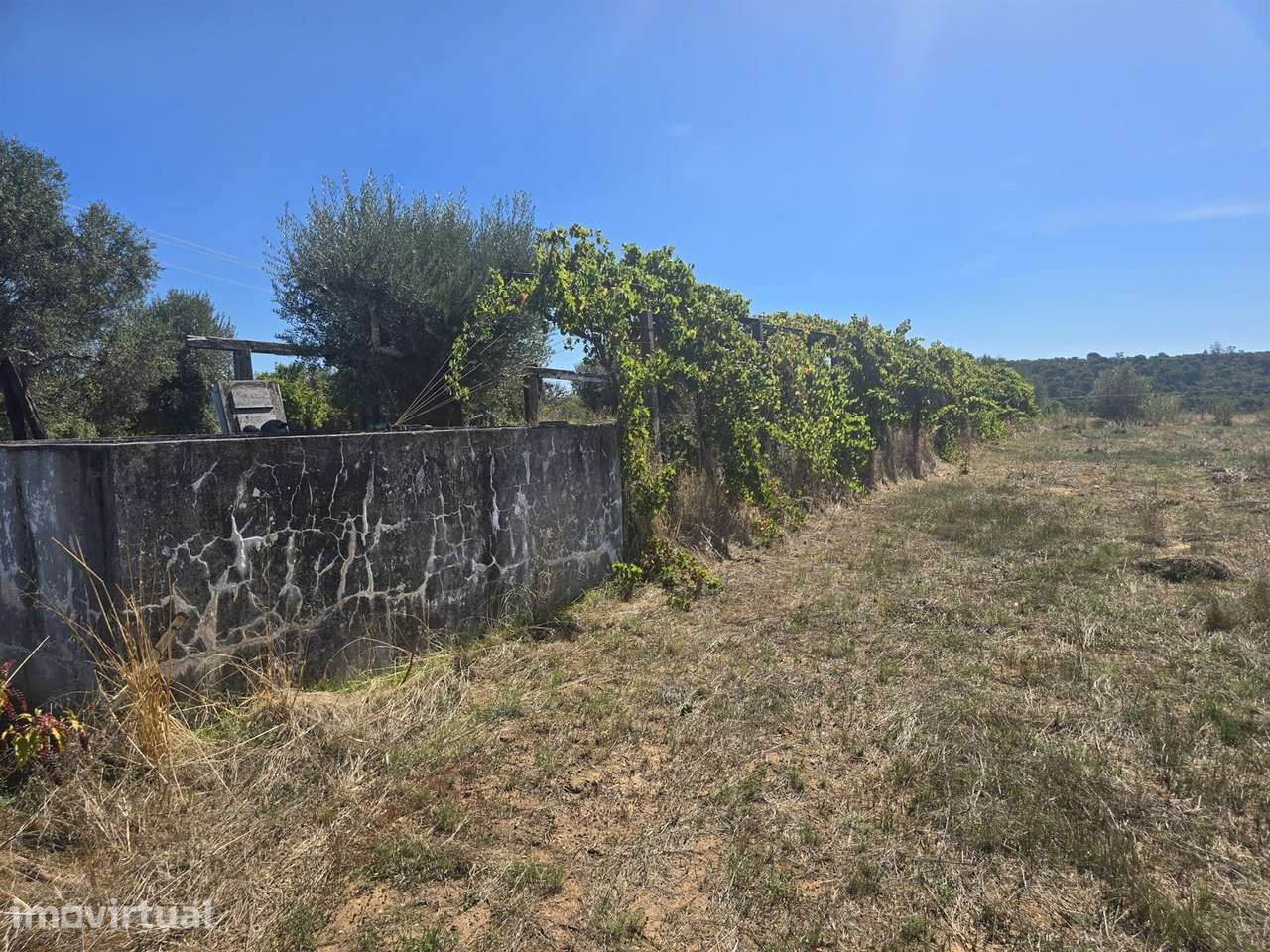 Terreno com Possibilidade de Construção - Alferrarede Velha - Abrantes - Grande imagem: 4/10
