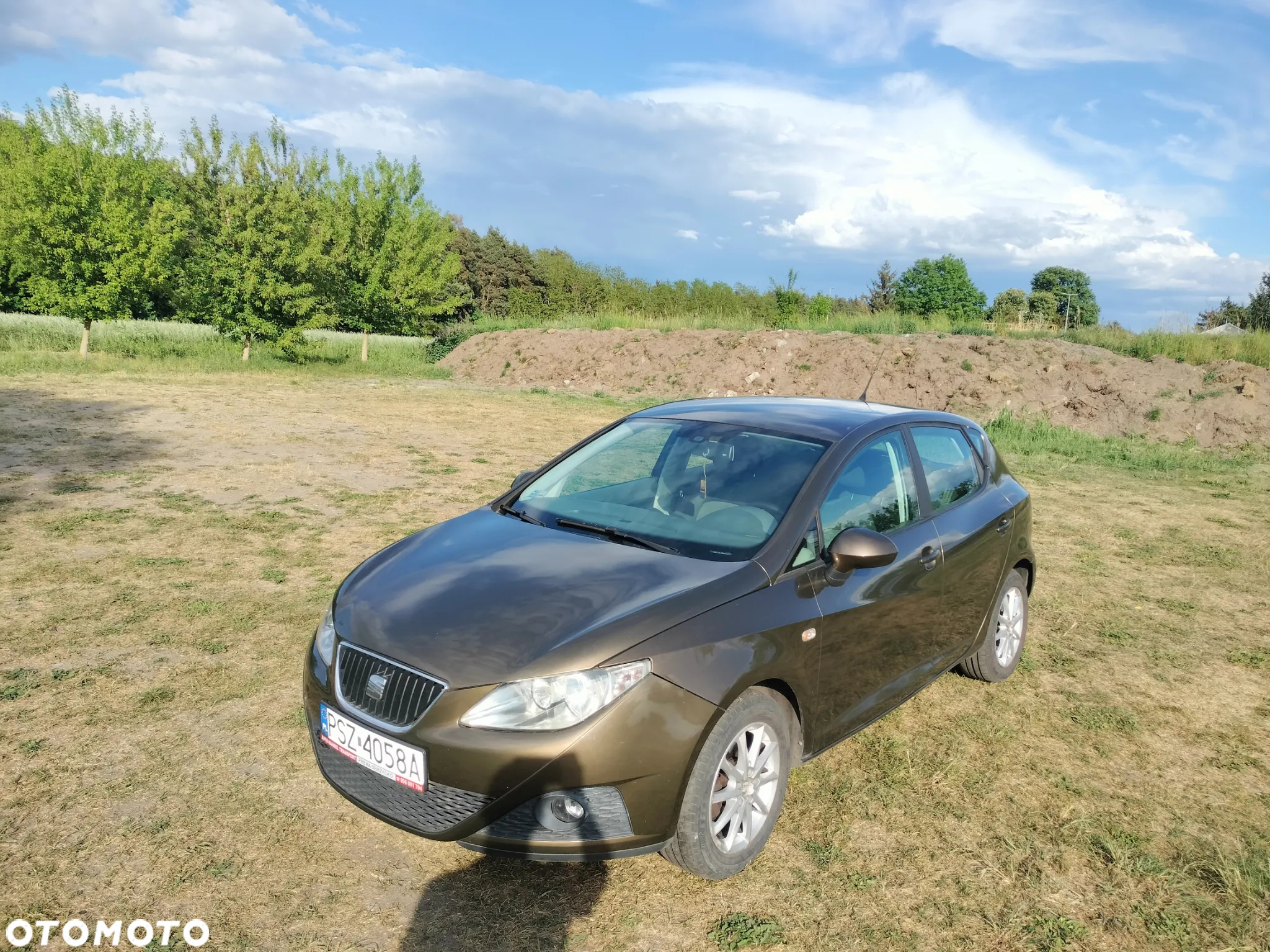 Seat Ibiza 1.4 16V Reference - 4