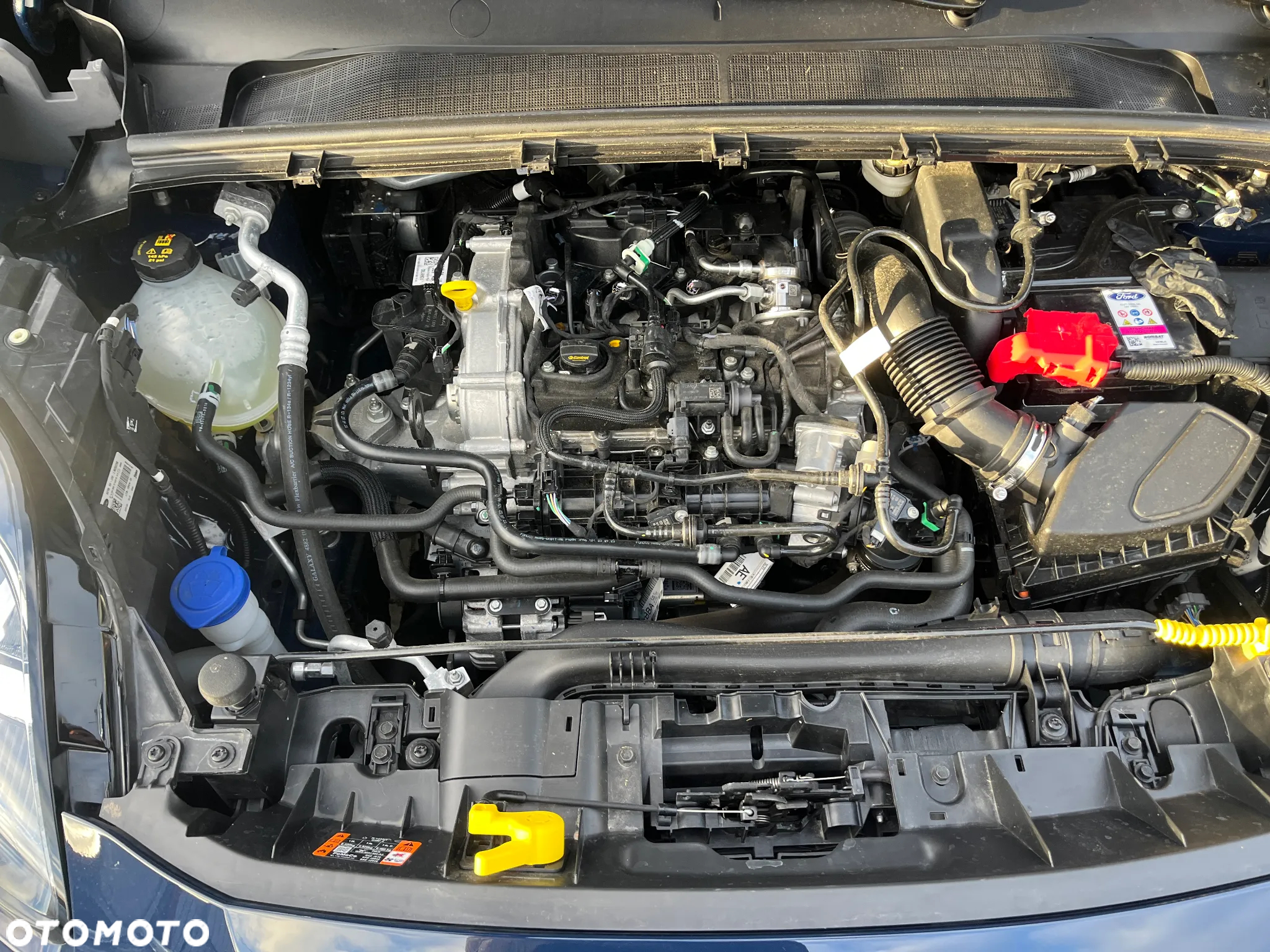 Ford Puma 1.0 EcoBoost Hybrid COOL & CONNECT - 22