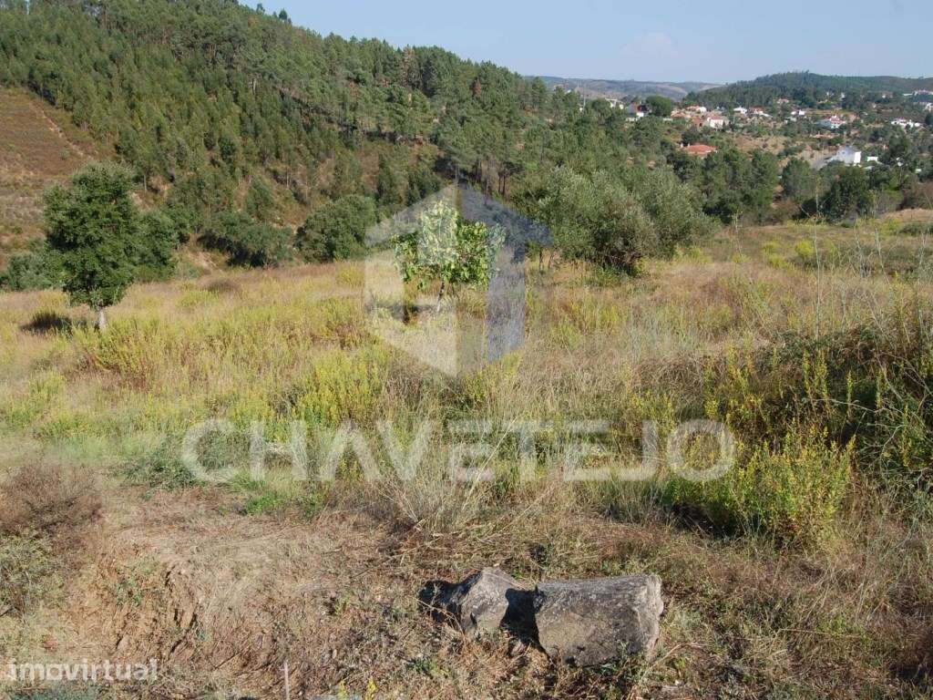 Terreno com viabilidade de construção, perto da Albufeira de Castel... - Grande imagem: 3/8