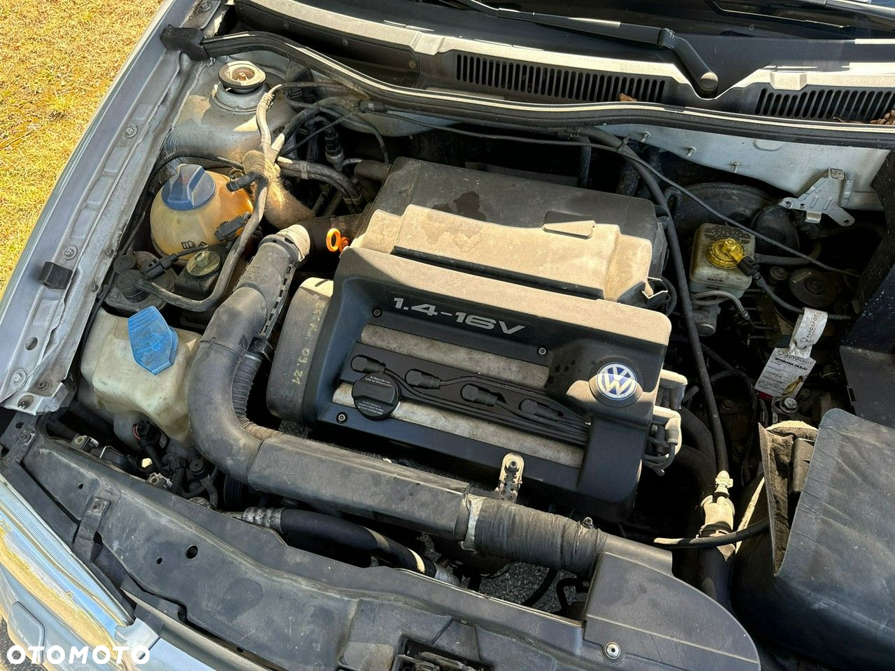 Volkswagen Golf - 15