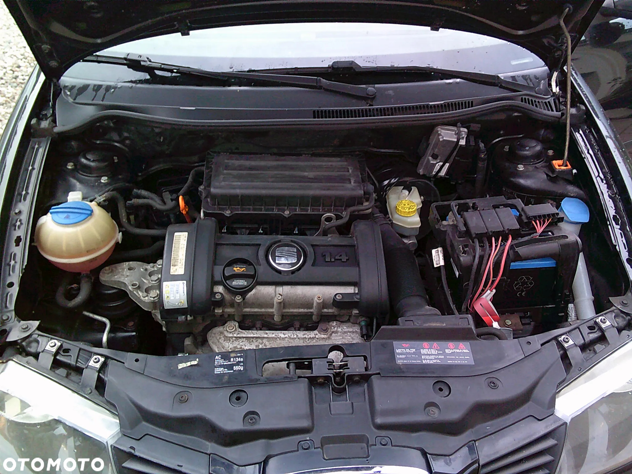 Seat Ibiza 1.4 16V Reference - 22