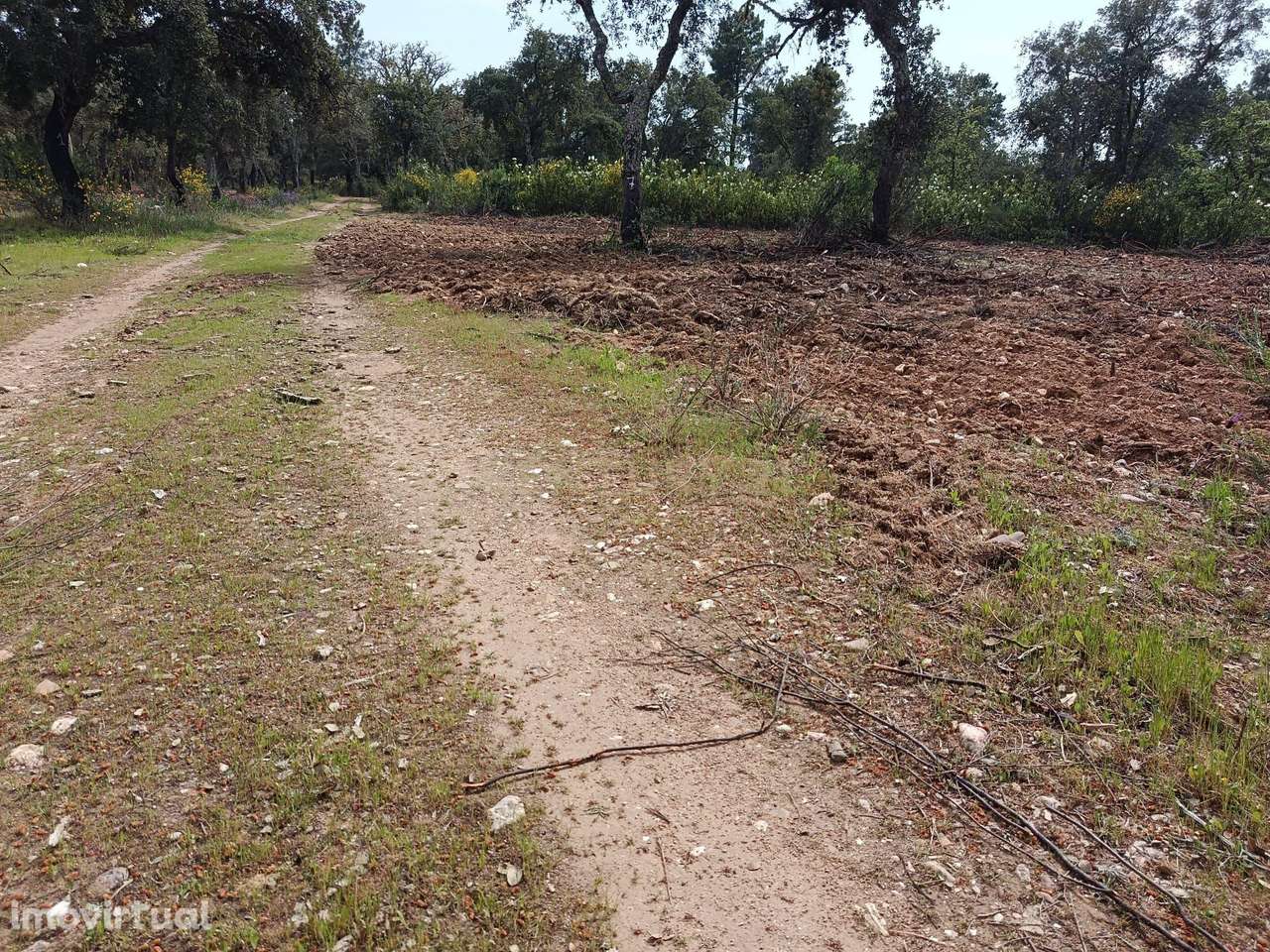Terreno Rústico com 1.6ha Monfortinho - Grande imagem: 4/20
