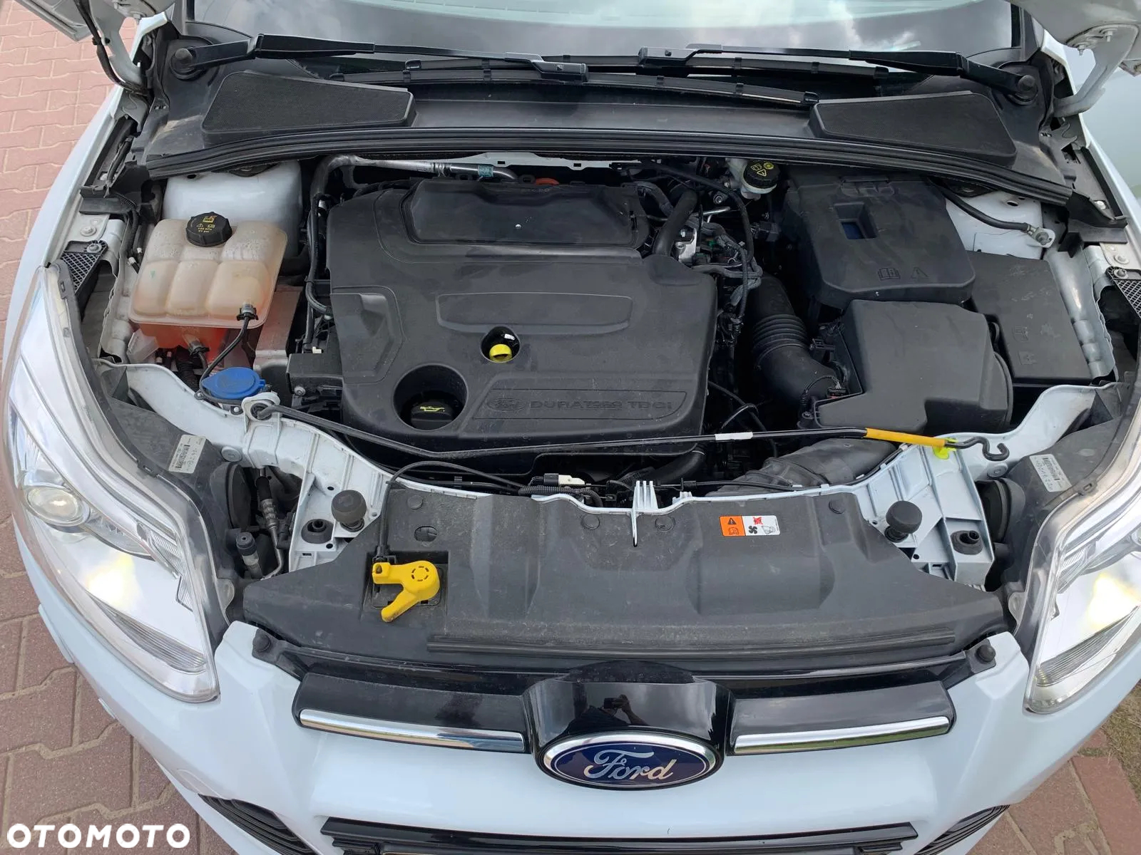 Ford Focus Turnier 2.0 TDCi DPF Titanium - 24