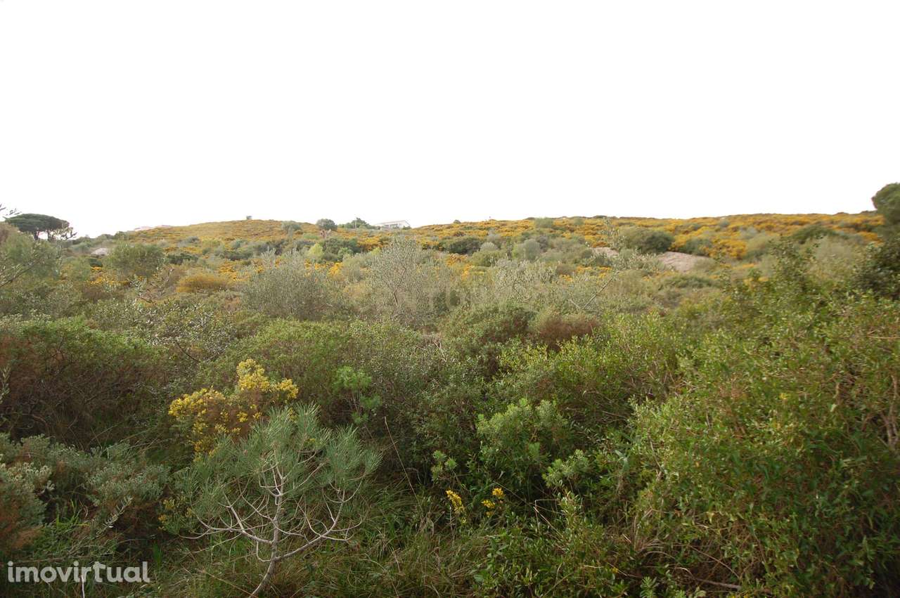 Terreno Rústico Novo em Sintra - Oportunidade Única! - Grande imagem: 3/12