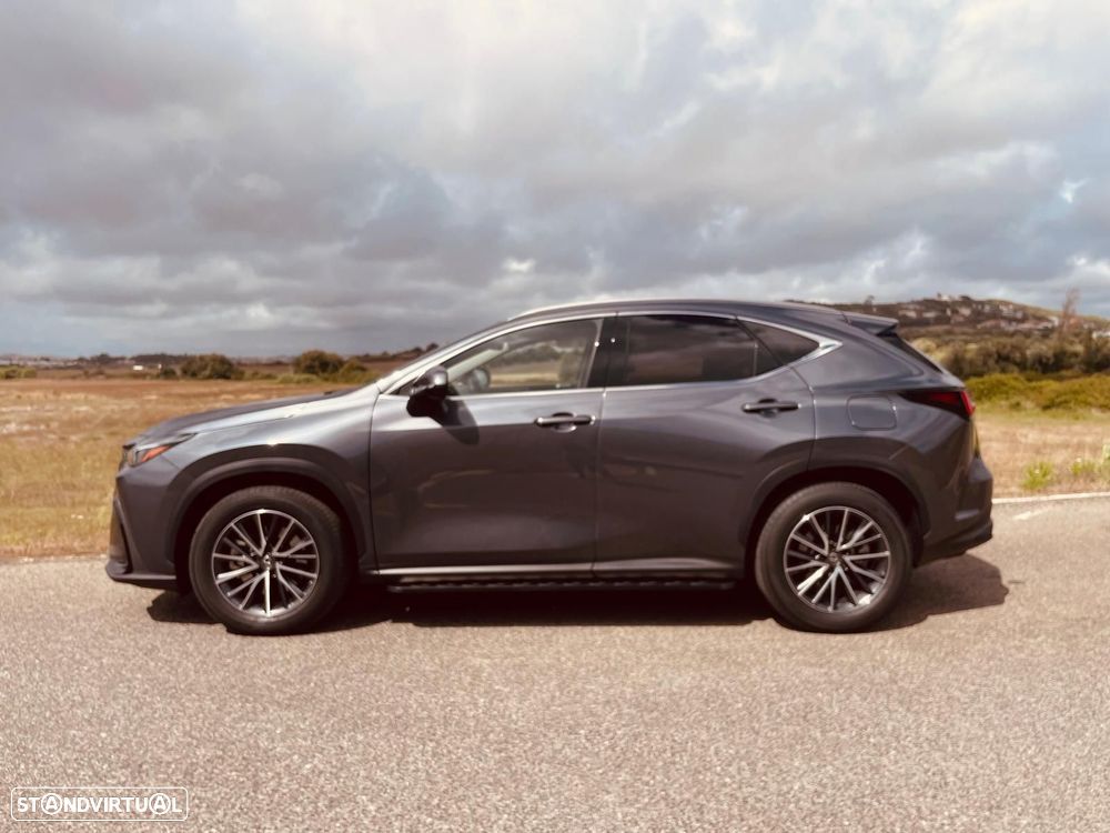 Lexus NX 450h+ Executive - 9