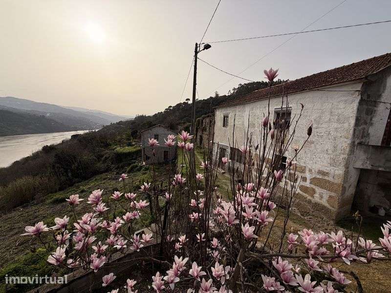 Moradia Rústica com Terreno e Vistas Rio Douro - Grande imagem: 2/12
