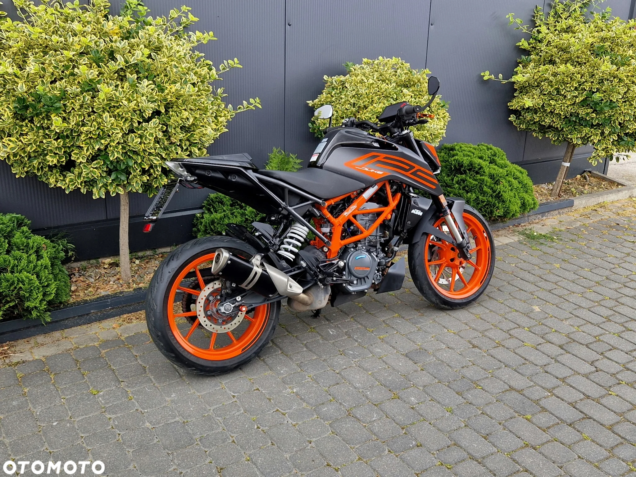 KTM Duke - 4