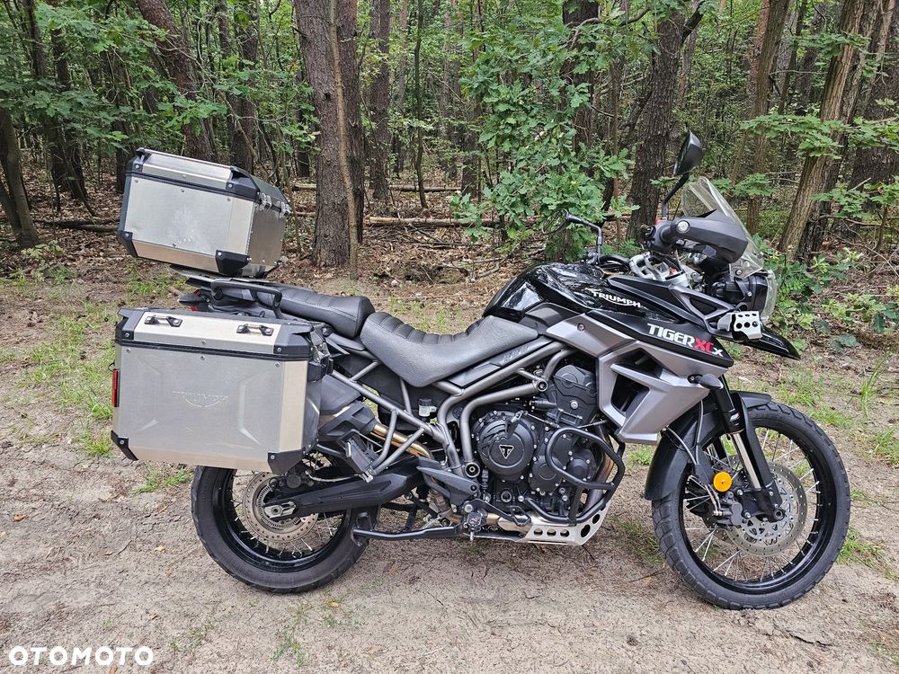 Triumph Tiger - 1