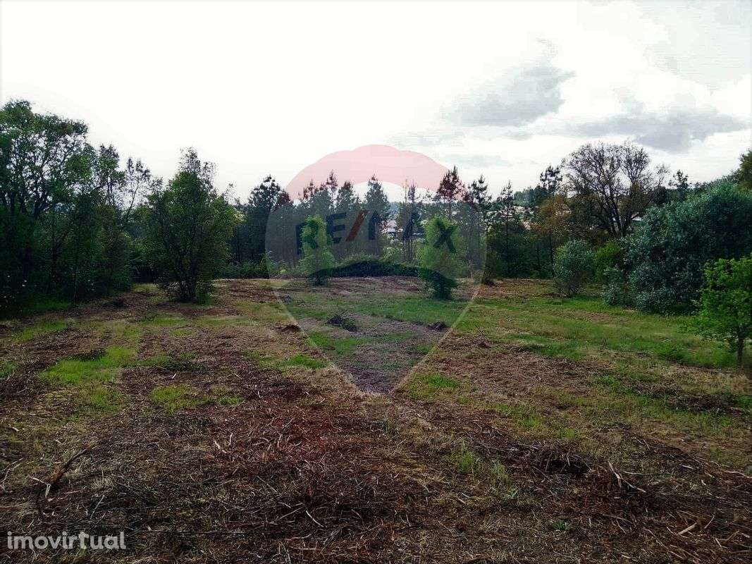 Terreno  para venda - Grande imagem: 3/15