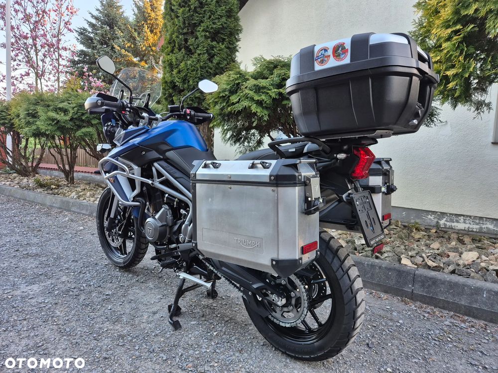 Triumph Tiger - 5