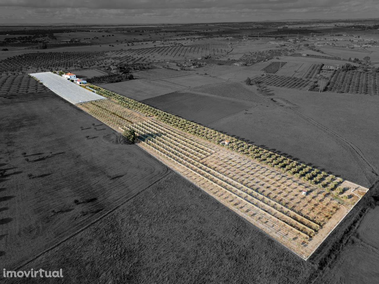 Moradia, 183 m², Amareleja - Grande imagem: 5/34