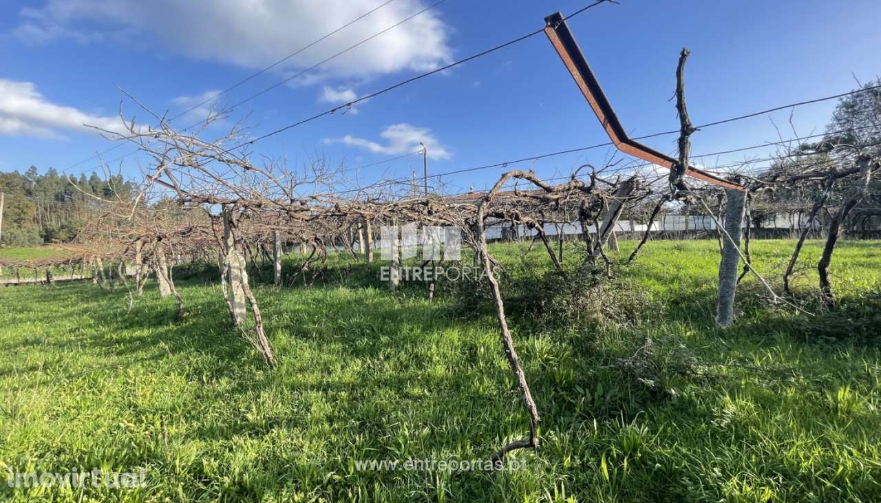 Venda de terreno para construção com 1000m², Meixedo, Viana do Cast - Grande imagem: 2/23