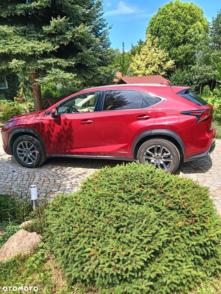Lexus NX ver-300h-business-edition-awd - 1