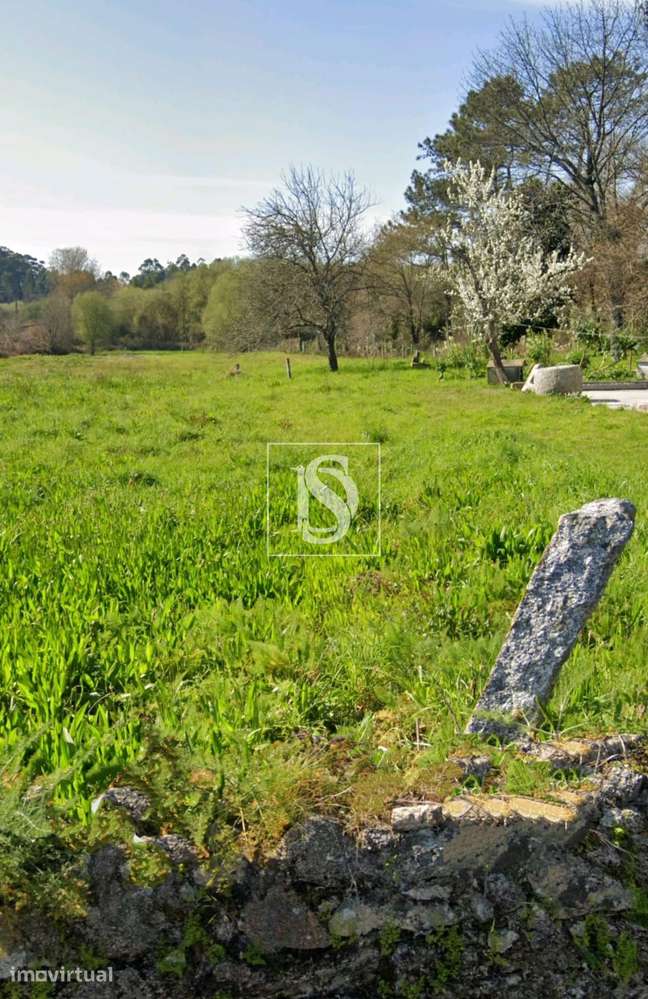 Terreno  Venda em Barroselas e Carvoeiro,Viana do Castelo - Grande imagem: 5/11
