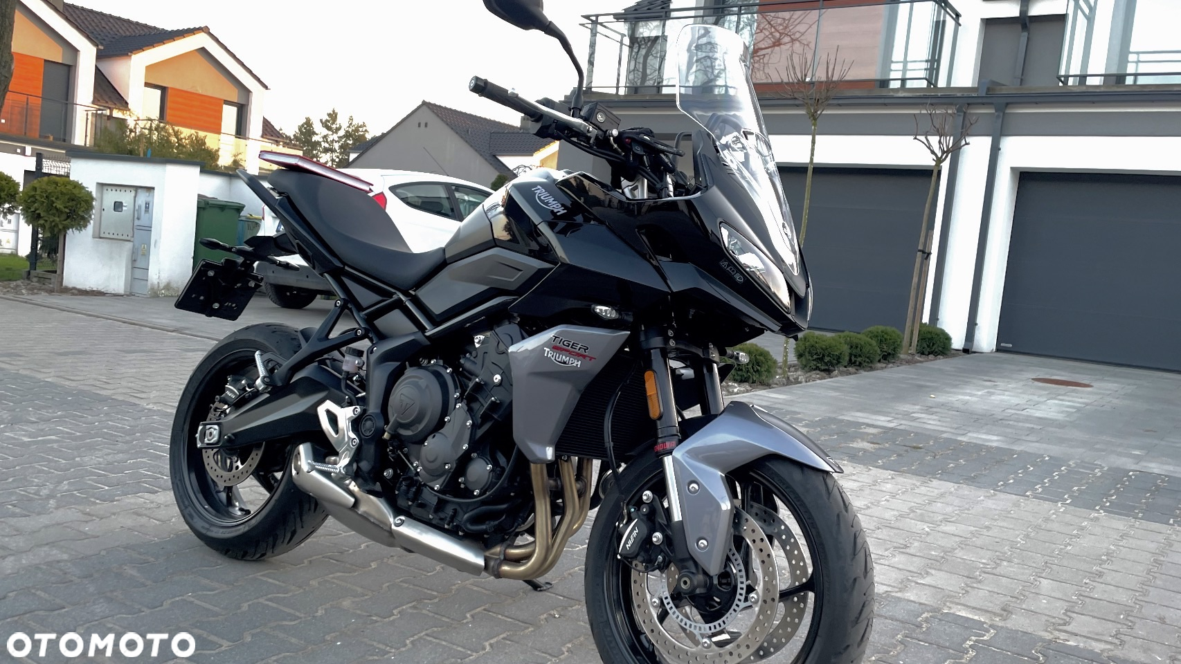 Triumph Tiger - 15