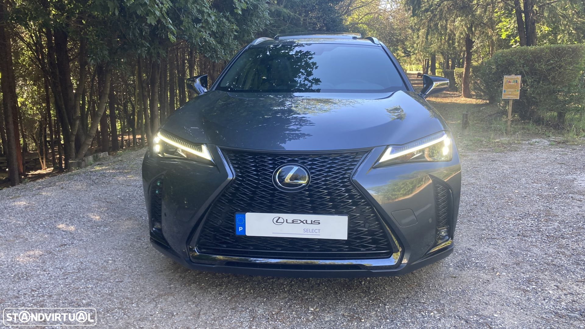 Lexus UX 250h Sport (Ecrã 12.3) - 2