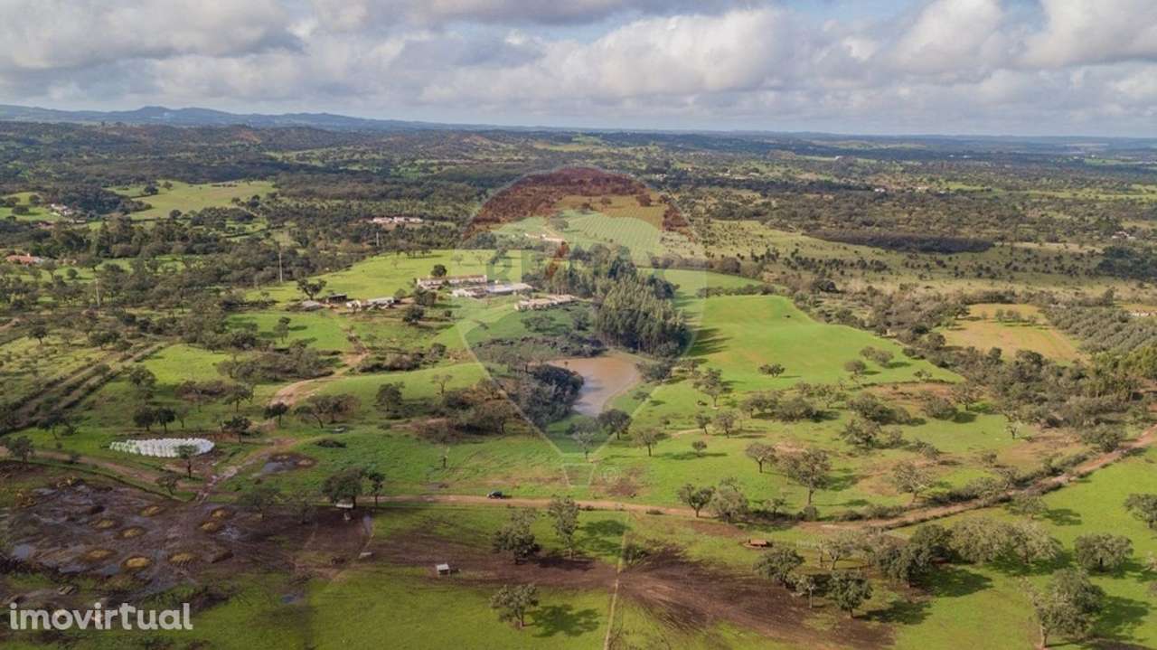 Quinta T3 para venda - Grande imagem: 4/31