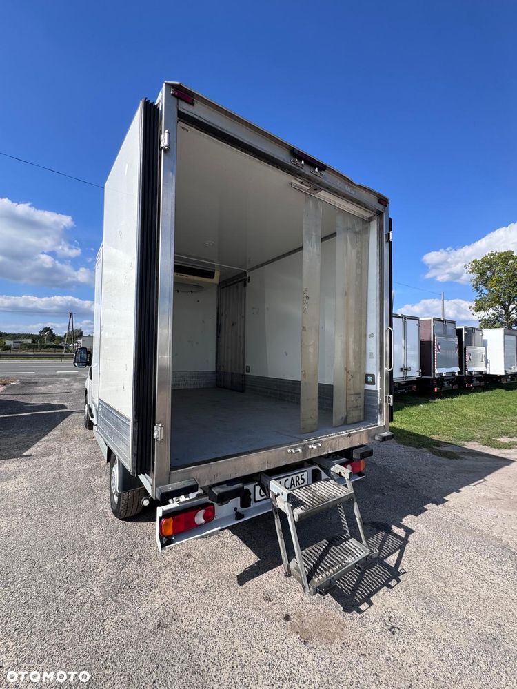 Fiat Ducato / Chłodnia ThermoKing V500 MAX (448) - 8