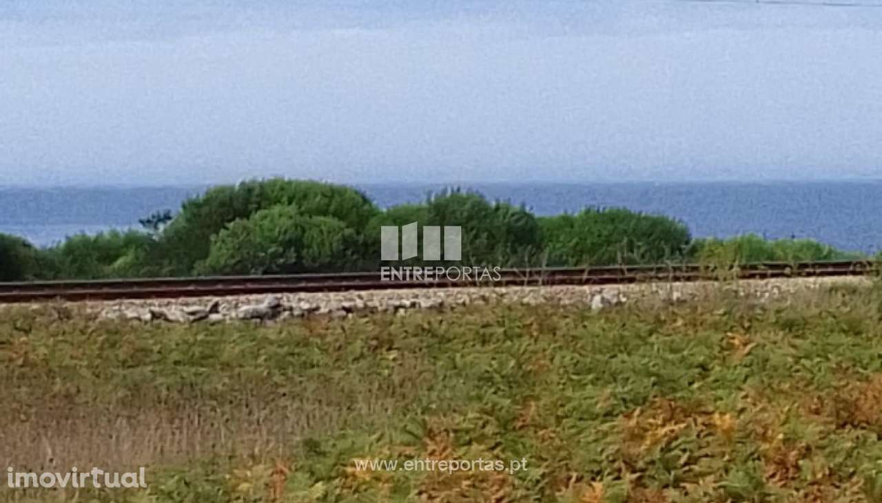 Terreno para venda, Moledo, Caminha - Grande imagem: 3/3