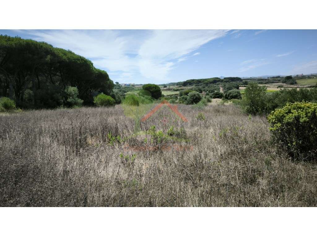 Terreno Rústico, perto de Bolelas - São João das Lampas - Grande imagem: 2/6